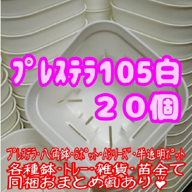 【スリット鉢】プレステラ105白20個 多肉植物 プラ鉢 ハンドメイドのフラワー/ガーデン(プランター)の商品写真