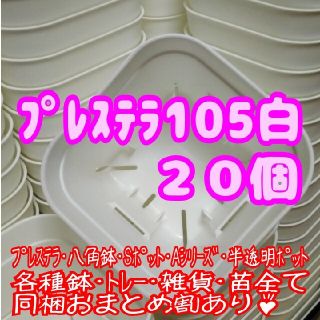 【スリット鉢】プレステラ105白20個 多肉植物 プラ鉢(プランター)