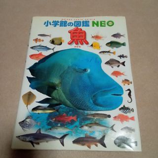 小学館の図鑑NEO魚(絵本/児童書)