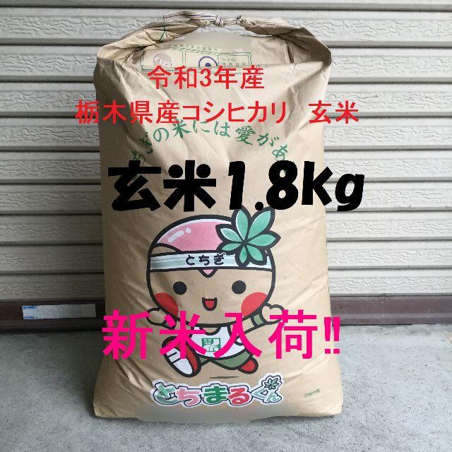 新米入荷！令和3年産　栃木県産コシヒカリ　玄米1.8kg　お試しに最適♪