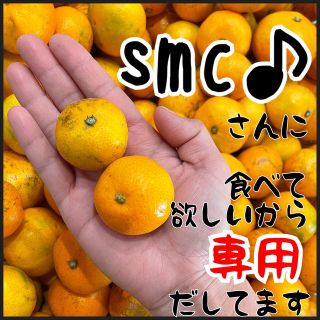 smc様専用です(フルーツ)