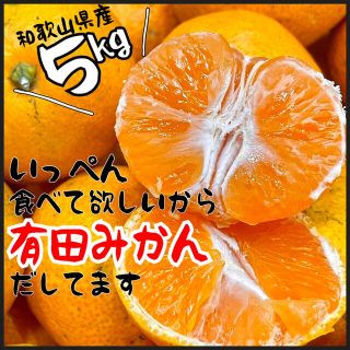 和歌山県産　有田みかん　箱込み5kg(フルーツ)