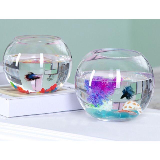 人気ブランド 金魚鉢 メダカ 透明 水槽 花瓶 アクアリウム ボトル