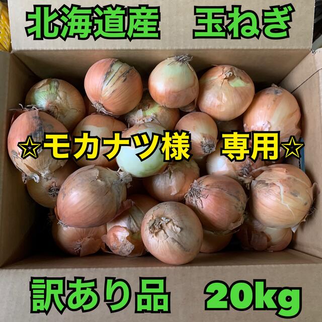 北海道産　玉ねぎ　訳あり品　20kg 食品/飲料/酒の食品(野菜)の商品写真