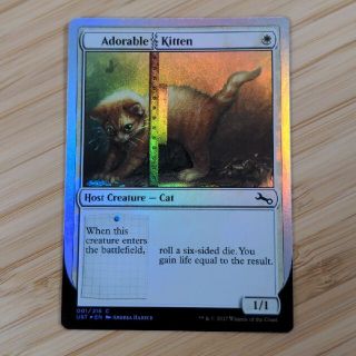 マジックザギャザリング(マジック：ザ・ギャザリング)のMTG かわいい子猫/Adorable kitten (英語) foil(シングルカード)