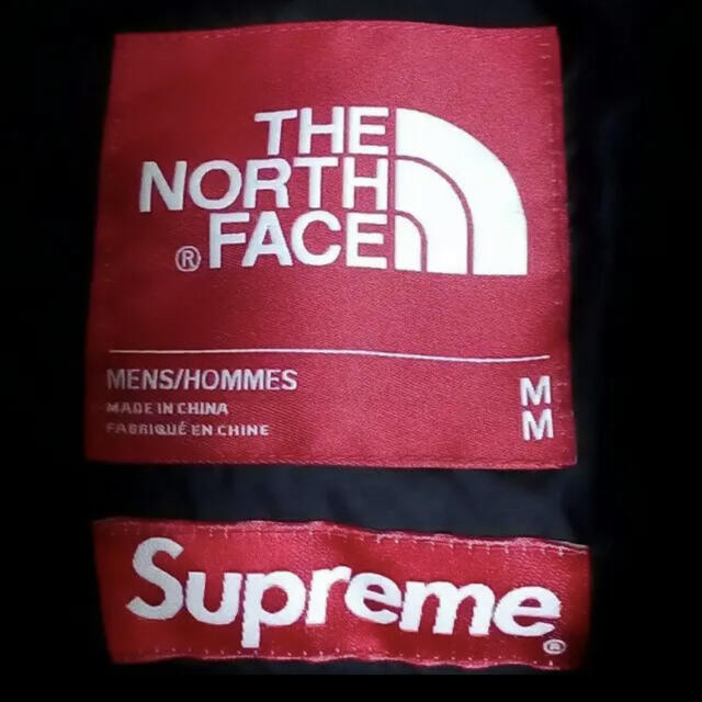 supreme north face 15aw ダウン