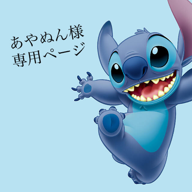 ぬんぬん様専用 prorecognition.co
