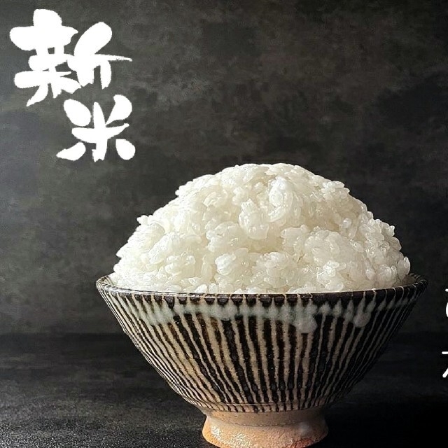 令和3年産　新米コシヒカリ　兵庫県産　　1、9kg 食品/飲料/酒の食品(米/穀物)の商品写真