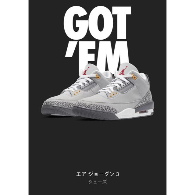 スニーカー25CM NIKE AIR JORDAN 3 "COOL GREY"