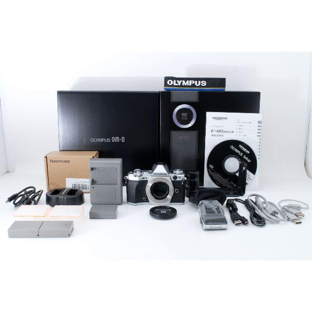 【ほぼ新品】OLYMPUS OM-D E-M5 マーク2　《ショット数978回》付属品