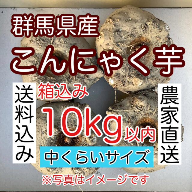 【群馬県産】こんにゃく芋　箱込み10kg以内　手作りこんにゃく【中サイズ】 食品/飲料/酒の食品(野菜)の商品写真