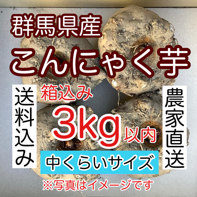 【群馬県産】こんにゃく芋　箱込み3kg以内　手作りこんにゃく用【中くらいサイズ】 食品/飲料/酒の食品(野菜)の商品写真