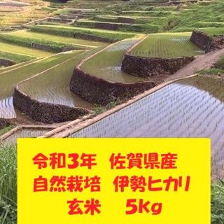 いちご様専用！【新米】自然栽培！佐賀県産！「山田錦」玄米５kg　令和３年産(米/穀物)