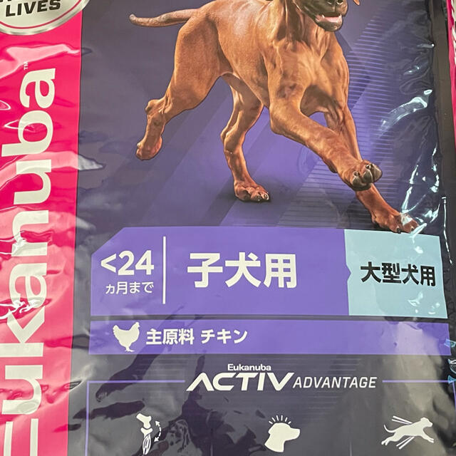 たんぱく質ユーカヌバ　大型犬子犬用 ラージパピー 15kg匿名配送不可！