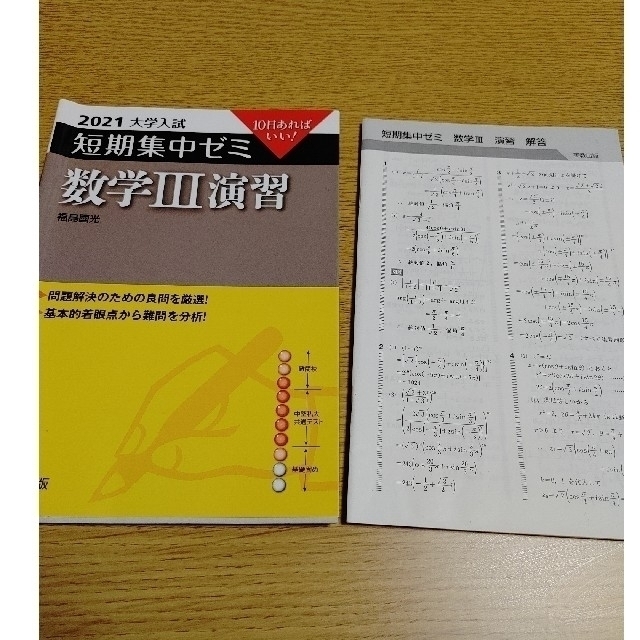 大学受験大学入試短期集中ゼミ 数学3演習 10日あればいい 大学受験大学入試短期集中ゼミ 数学3演習 10日あればいい