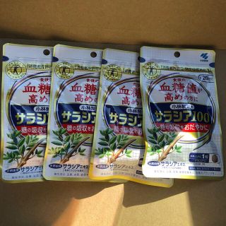 コバヤシセイヤク(小林製薬)の小林製薬　サラシア100  20日分　4セット(ダイエット食品)