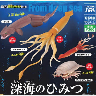 タカラトミー(Takara Tomy)の深海のひみつ　ダイオウグソクムシ　ガチャ(その他)
