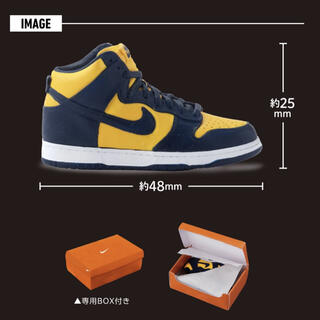 NIKE DUNK HIGH miniature collection 10種