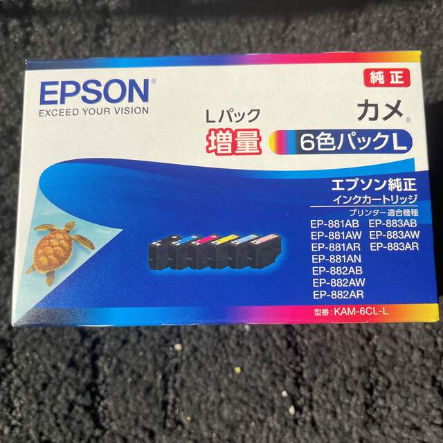 セイコーエプソンEPSON KAM-6CL-Lカメ