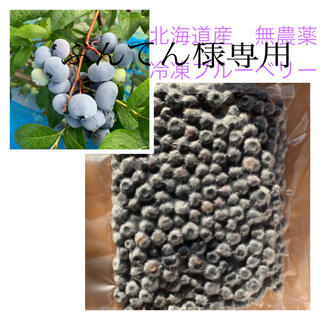 北海道産　無農薬ブルーベリー　500g(フルーツ)