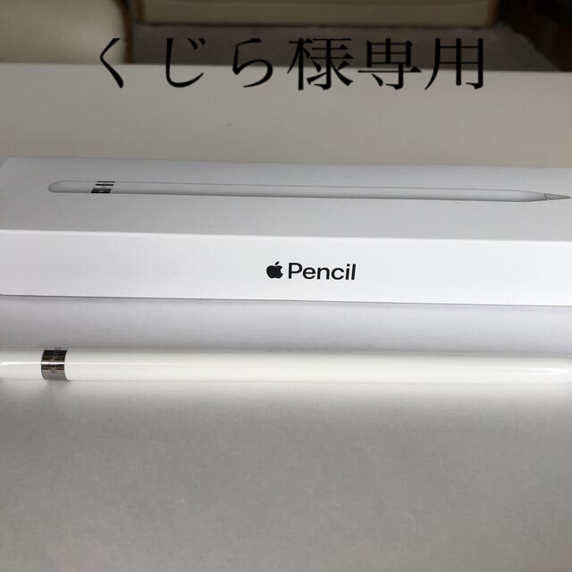 Apple Japan(同) iPad Pro Apple Pencil