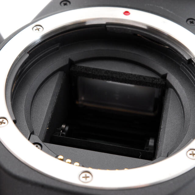 Canon Canon EOS KISS X9 標準&望遠ダブルレンズセットの通販 by ネコ's shop｜キヤノンならラクマ - キャノン 大特価特価