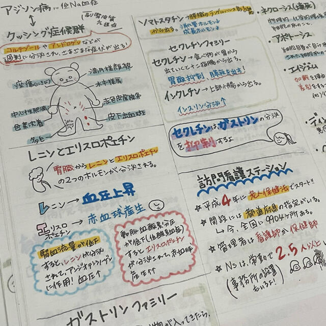 看護師国家試験絶対合格極秘ノート㊙️合格保証付き【全額返金】