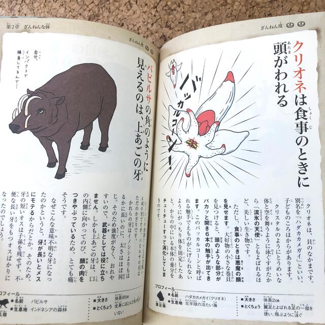 ざんねんないきもの事典 おもしろい！進化のふしぎ エンタメ/ホビーの本(その他)の商品写真