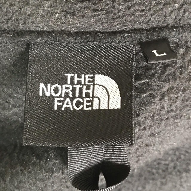 THE NORTH FACE(ザノースフェイス)のノースフェイス　デナリフーディー メンズのトップス(パーカー)の商品写真