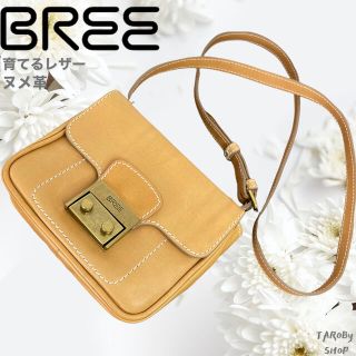 ブリー(BREE)のBREE ショルダーバッグ　ポーチサイズ　金具　小振り　ヴィンテージ　ヌメ革(ショルダーバッグ)