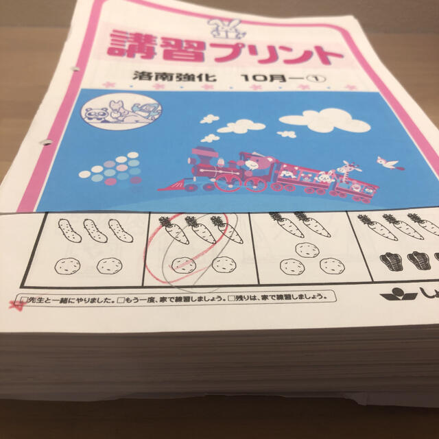 特価講習全セット】しょうがくしゃ 年長 1年分講習テキスト