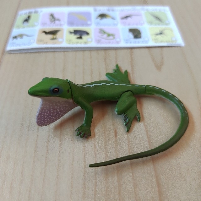 チョコエッグ日本の動物コレクション www.hollidaysburgartscouncil.com