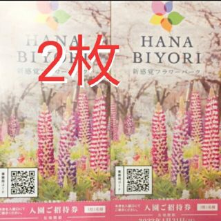 よみうりランド　ハナビヨリ　HANABIYORI 株主優待(遊園地/テーマパーク)