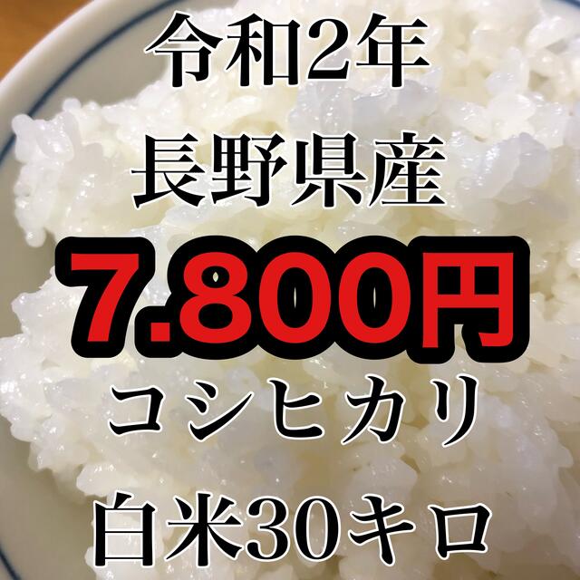 食品/飲料/酒【令和2年産】長野県産コシヒカリ白米30kg