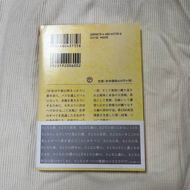 水瓶　川上未映子 エンタメ/ホビーの本(文学/小説)の商品写真