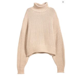 エイチアンドエイチ(H&H)のH&M チャンキーニット(ニット/セーター)