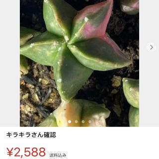 はなさん専用(その他)