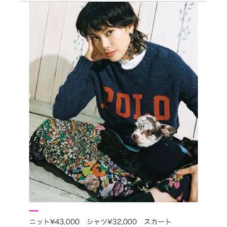 ポロラルフローレン(POLO RALPH LAUREN)の最終お値下げ★POLO RALPHLAUREN ニットセーター(ニット/セーター)