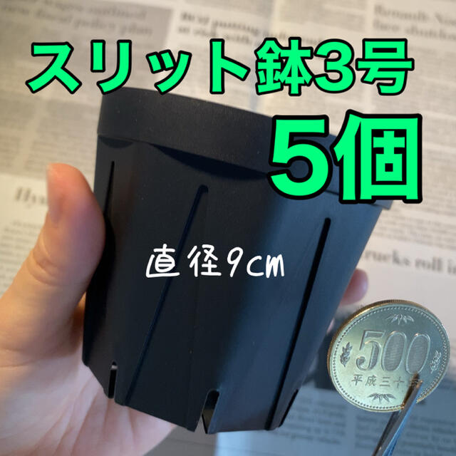 きろう様専用★スリット鉢２号10個、３号5個 ハンドメイドのフラワー/ガーデン(プランター)の商品写真