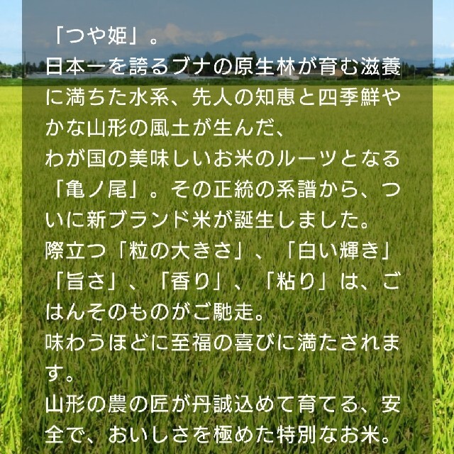 つや姫10kg　山形県産令和３年産 1