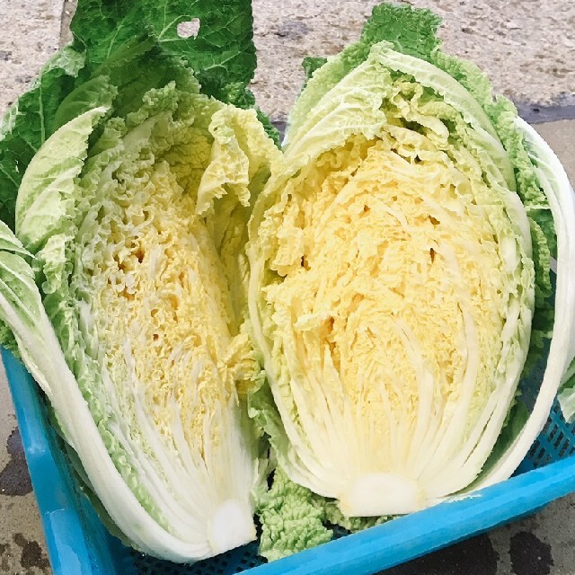 新鮮野菜 畑直送‼︎80サイズ野菜セット＆10種類の乾燥野菜30g入り 食品/飲料/酒の食品(野菜)の商品写真