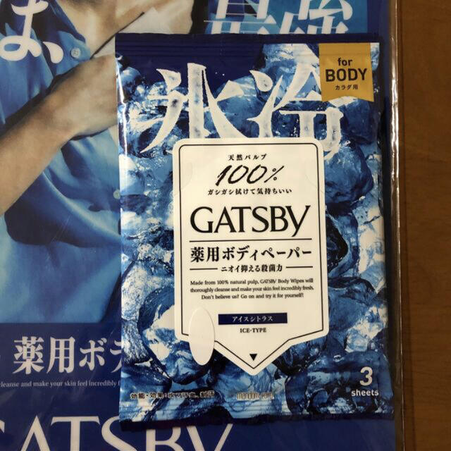 Mandom(マンダム)のGATSBY 佐藤健 クリアファイル ボディペーパー入り エンタメ/ホビーのタレントグッズ(男性タレント)の商品写真