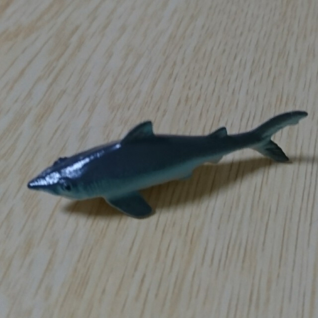 魚 エンタメ/ホビーのおもちゃ/ぬいぐるみ(その他)の商品写真