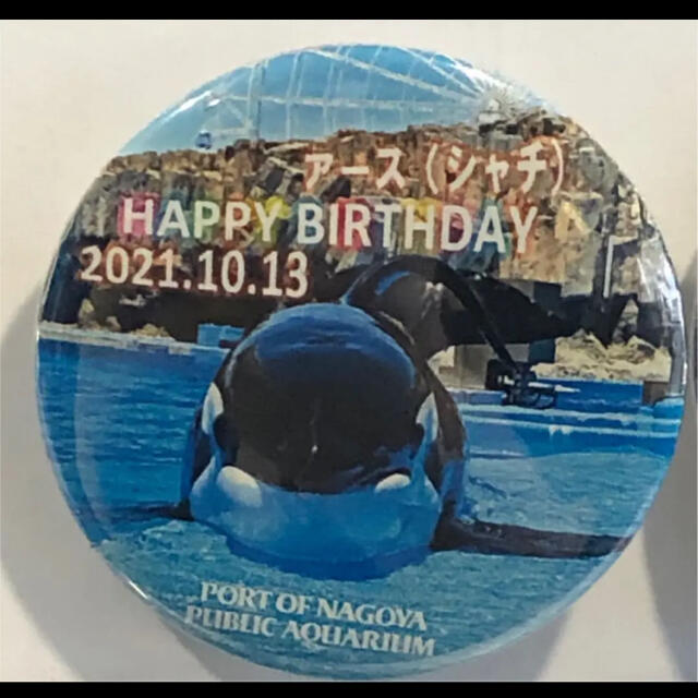 ⭐️新品未使用⭐️名古屋港水族館限定⭐️ガチャガチャ⭐️アース⭐️缶バッジ⭐️ | フリマアプリ ラクマ