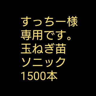 すっちー様専用です。 (その他)