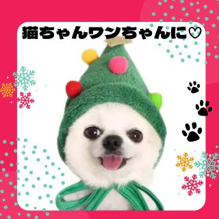 わんちゃん　クリスマスコスプレセット  帽子　ハット　クリスマスグッズ　犬猫(犬)