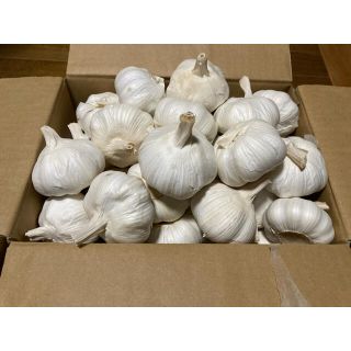 嘉定種 おいしいニンニク 中球(M球程度) 2kg にんにく(野菜)