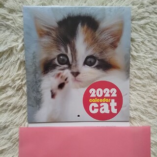 猫🌼壁掛けカレンダー2022年(令和４年)🌼書き込み式🌼1231(印刷物)