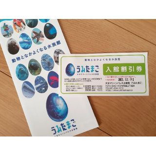 水族館 うみたまご 割引券(水族館)