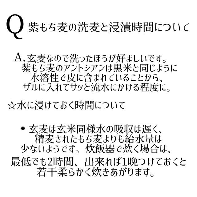 【栄養満点】福岡県産紫もち麦10kg 3